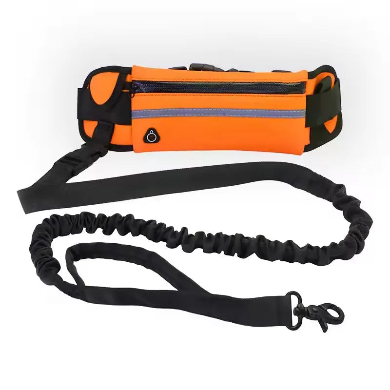 ZenStride™ Hands-Free Bungee Leash