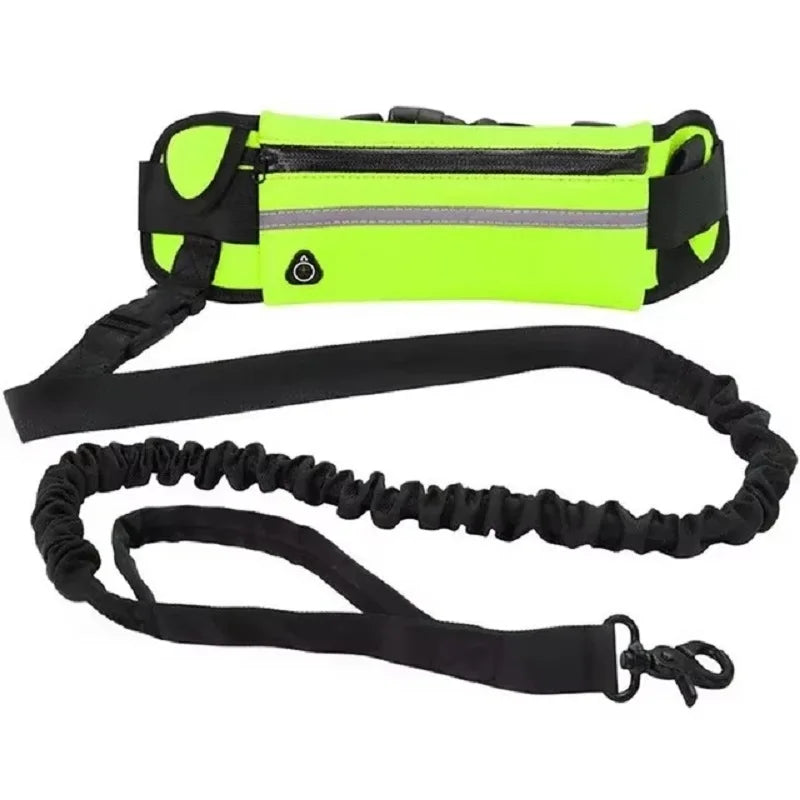 ZenStride™ Hands-Free Bungee Leash