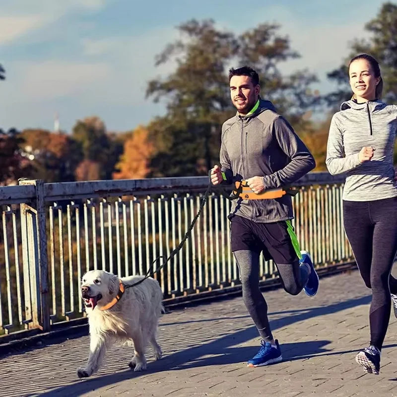 ZenStride™ Hands-Free Bungee Leash