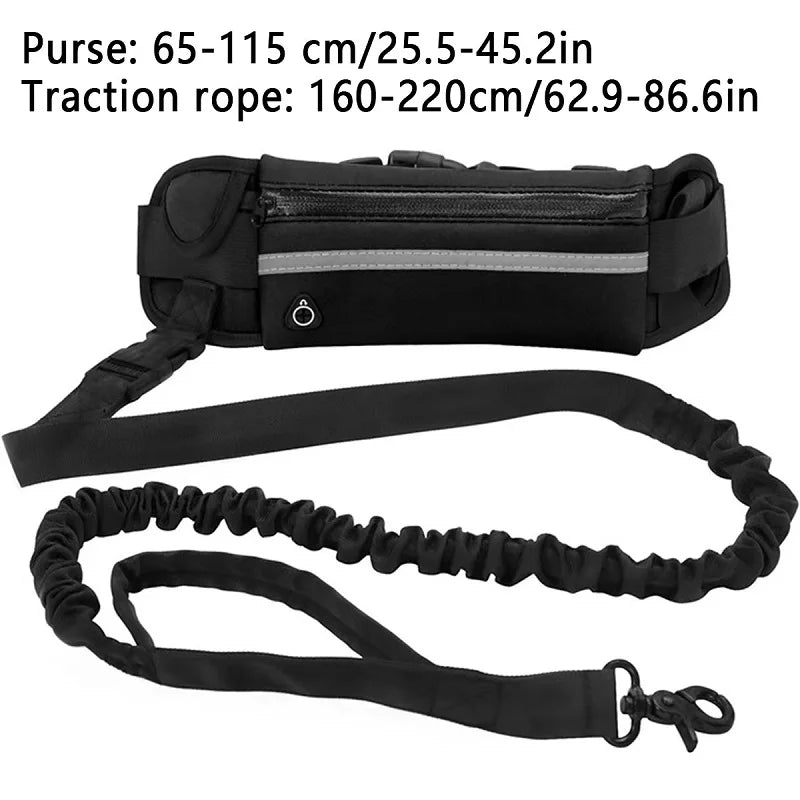 ZenStride™ Hands-Free Bungee Leash