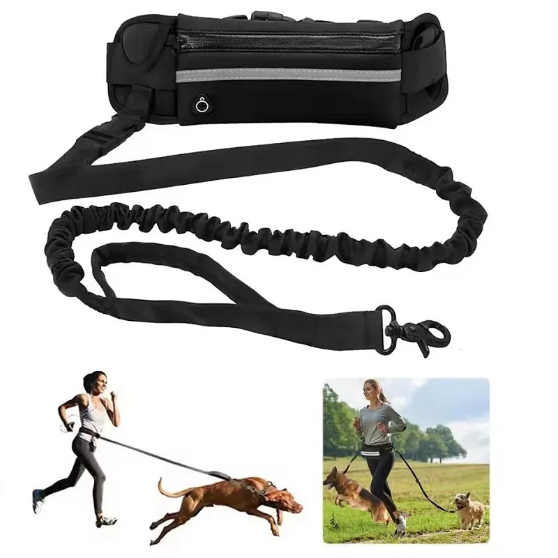 ZenStride™ Hands-Free Bungee Leash