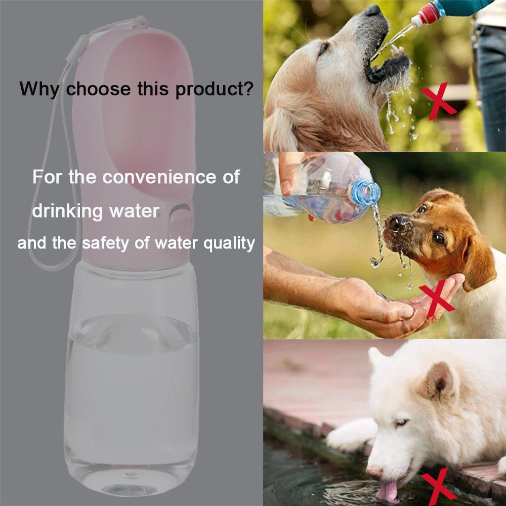 ZenHydro Portable Leakproof Water Bowl