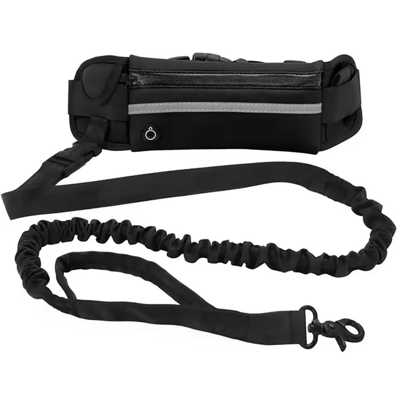 ZenStride™ Hands-Free Bungee Leash
