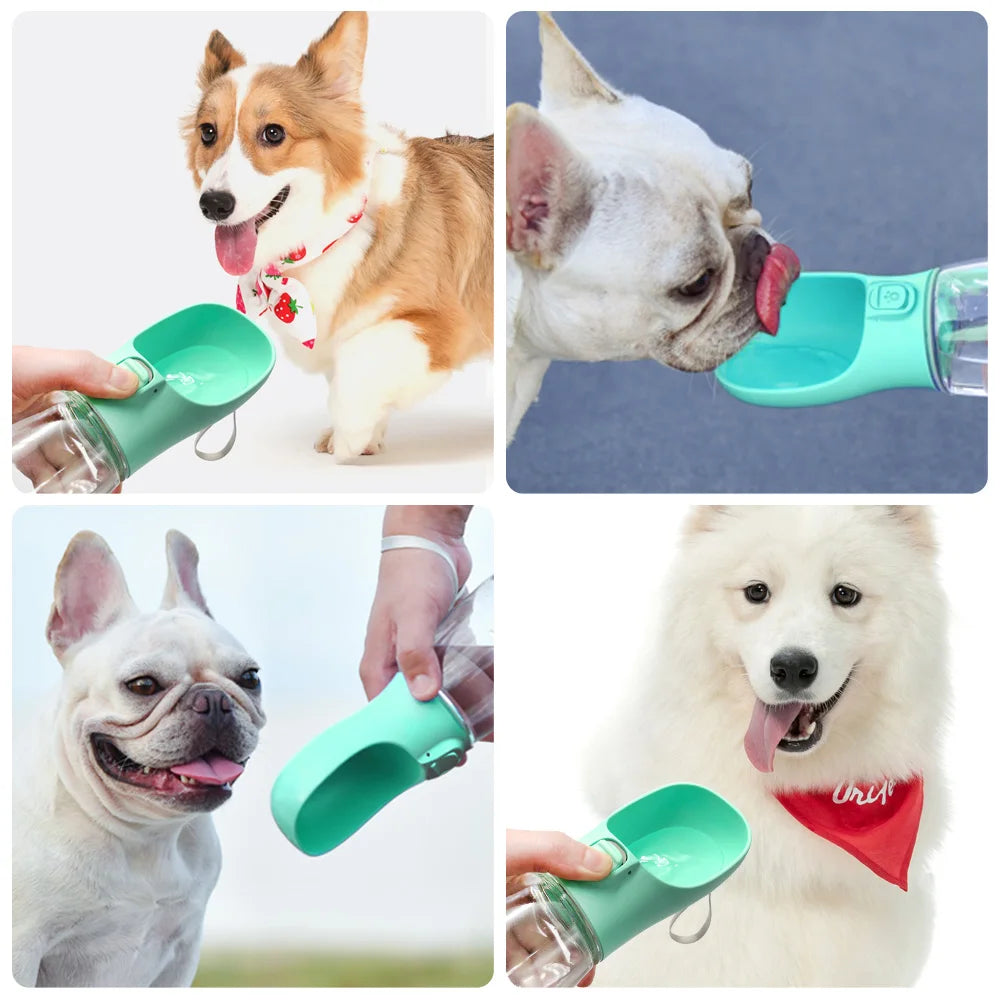 ZenHydro Portable Leakproof Water Bowl